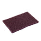 Applicator and Abrasion Pad